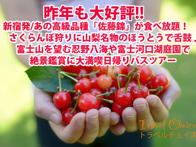 さくらんぼ狩りや忍野八海へ!お昼は人気店のほうとうで舌鼓♪【全日程1名様から出発保証!】_トラベルチョイス