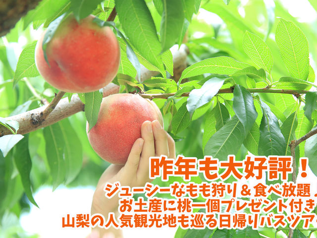 桃狩りや忍野八海へ!お昼は人気店のほうとうで舌鼓♪【全日程1名様から出発保証!】_トラベルチョイス