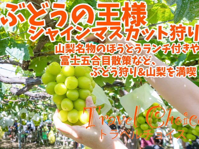 【全日程1名様から出発保証】ぶどうの王様シャインマスカット狩りに地元でも大人気のほうとうランチや富士五合目を散策できるツアーなど多数ご用意!_トラベルチョイス