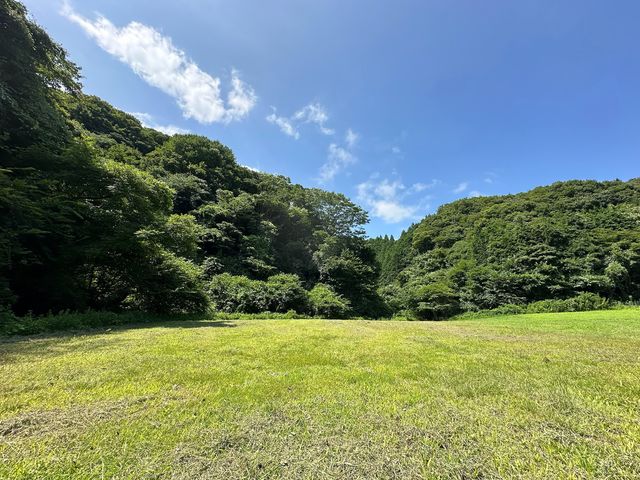 手ぶらBBQは約1000坪のキャンプエリアでお楽しみいただけます。開放感があり、周囲に明かりがないため夜は星空がとても綺麗に見えます。_MIDORITO SAUNA(ミドリトサウナ) Camp&BBQ Field
