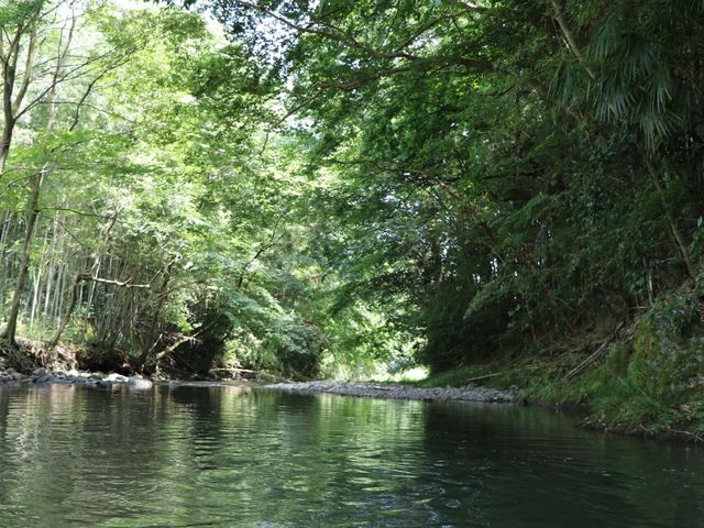 あつぎ飯山キャンプ場