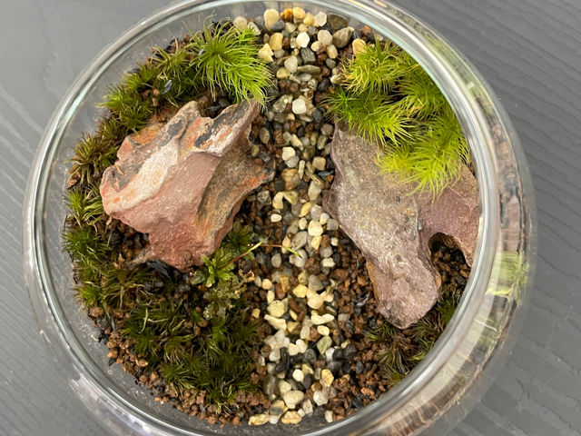 お客様作品_Moss Country