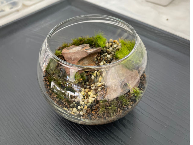 お客様作品_Moss Country