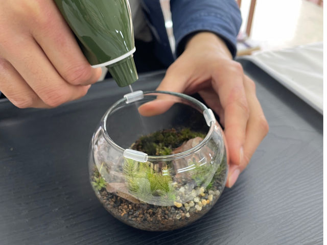 霧吹き仕上げ_Moss Country