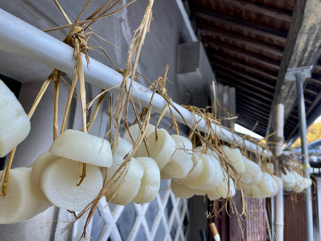 丸柏農園