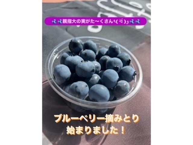 まほらふぁーむ