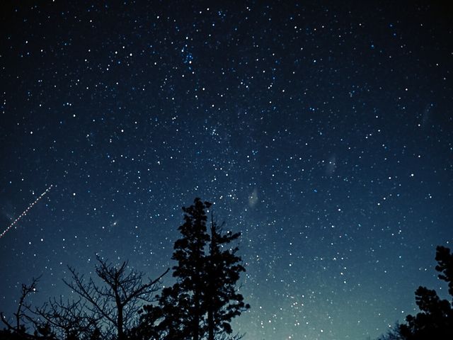 星空ウォッチングでは満天の星空が広がります。_ネイチャーツアー Ecotone