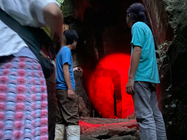 ナイトツアー。その時期の旬の生き物の暮らしに迫ります。_ネイチャーツアー Ecotone