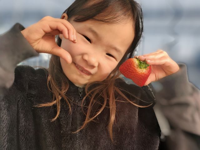 いちご農園 きらり