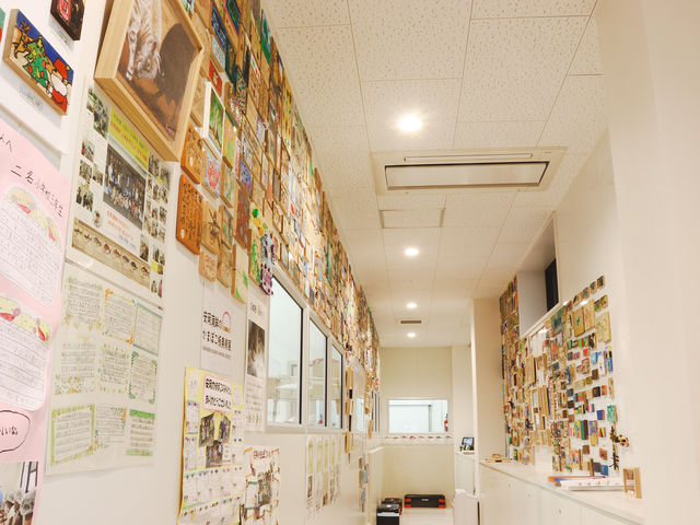 無料の見学通路_安岡蒲鉾 本社・工場