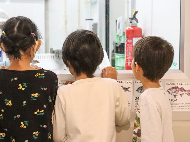 工場見学の様子_安岡蒲鉾 本社・工場