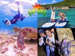 SUNDOGSの写真1