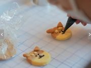 ドッグカフェ MUSUBU KITCHENの写真2