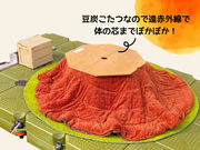 日本シティサップ協会の写真4