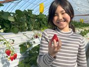 いまりいちごの里 LCFARM(エルシーファーム)の写真4
