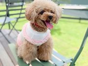 湯の華ガーデンの写真2