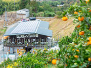 観音山フルーツパーラーの写真2