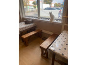 猫カフェ まんぼうの写真4