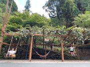 ウッドデザインパーク 福岡宮若店の写真4