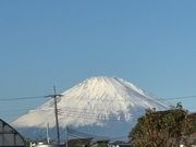 平塚土屋農場の写真2