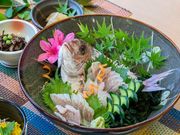 瀬戸内海ボートクルージングFUJIWARAの写真4