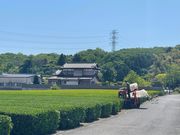 狭山茶農家ささら屋の写真4