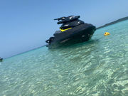 マリンしらたきの写真2