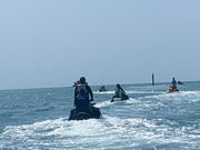 マリンしらたきの写真3