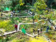 フォレスト鉄道キャンプ場の写真3