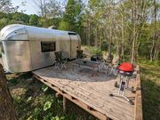 RV FOREST 310の写真2