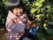 杉山農園の写真2
