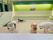moffle 福岡天神店の写真4