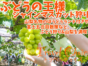 トラベルチョイスの写真2