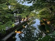 北欧雑貨&カフェ AMBERの写真4