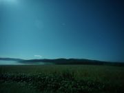 トヅキの写真4