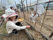 玉川農園の写真4