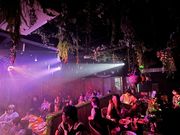 森の魔法レストランマジックルボアの写真4