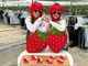 いまりいちごの里 LCFARM(エルシーファーム)の写真4