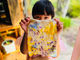 beau bois/SpringBの写真4