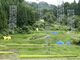 松代城山アート散策(まつだい「農舞台」フィールドミュージアム)の写真2