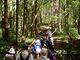 里山の探検観察の写真3