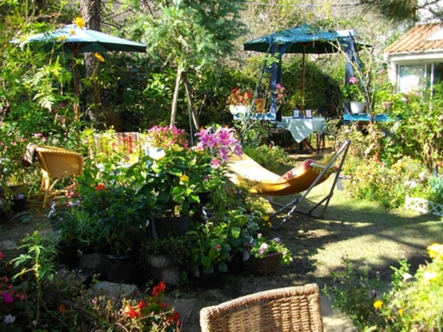garden cafe 海の塔の写真1