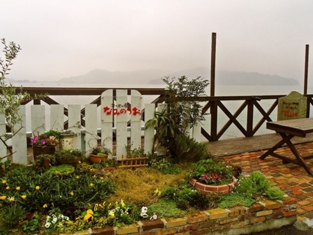 なみのうおの写真1