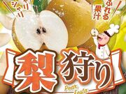 ピッツェリアマリノ 柏高島屋店の写真1