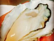 牡蠣酒場 佐々木孫べぇの写真1