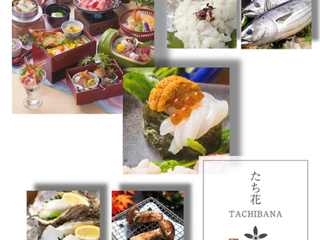 たち花 大和八木の写真1