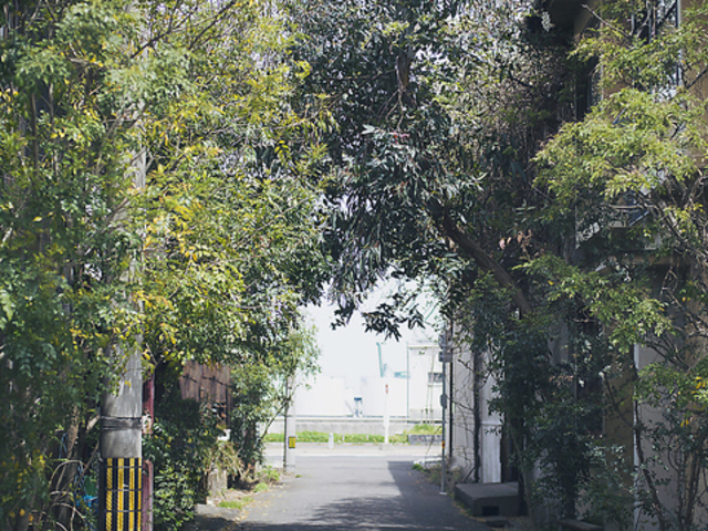 瀬戸内フレンチ Auraの写真1