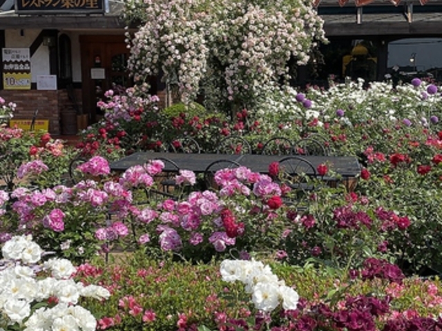レストラン栗の里 ローズガーデンの写真1