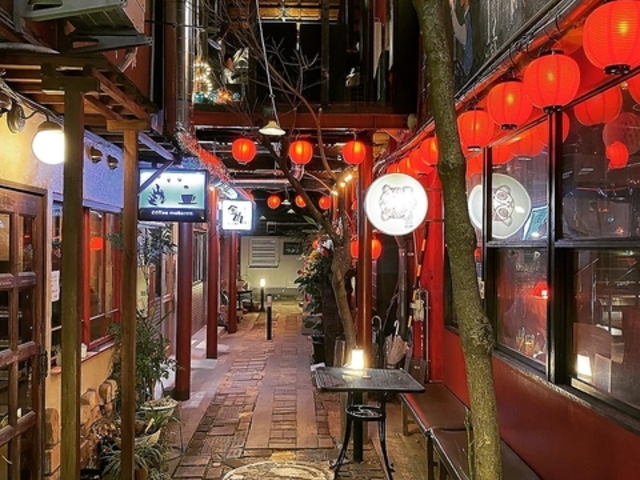 金魚 和歌山の写真1