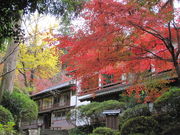 松琴館の写真1
